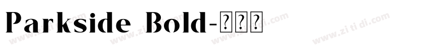 Parkside Bold字体转换 Parkside Bold字体转换